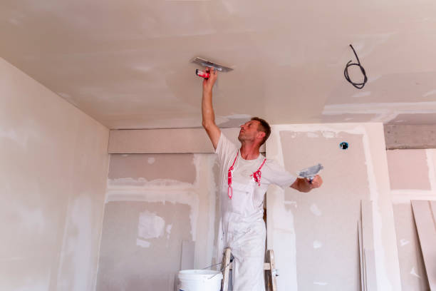 Professional Dry wall and painting in Lodi, NJ